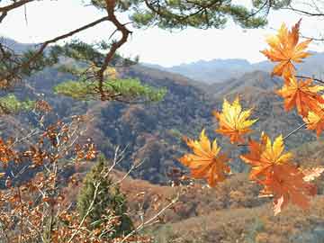 澳门王中王100期期准--精选解释解析落实,澳门王中王100期期准精选解释解析落实策略