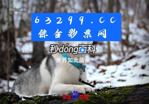 77778888管家婆必开一肖--精选解释解析落实,揭秘77778888管家婆必开一肖，精选解释解析落实之道