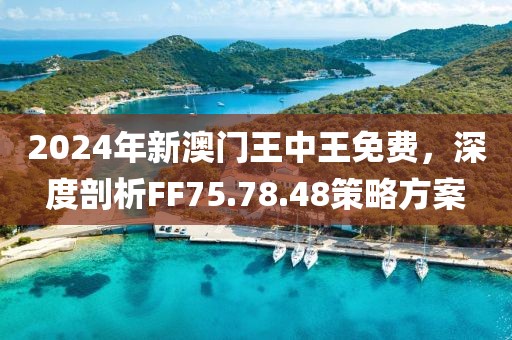 2024年新澳门王中王免费--精选解释解析落实,探索新澳门王中王免费解析与落实策略