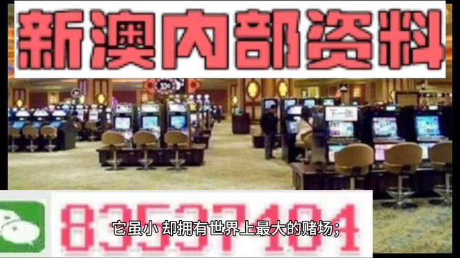 2024澳门正版精准免费--精选解释解析落实,解析澳门正版精准免费资料，助力彩票梦想实现之路