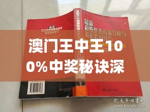 澳门王中王100%期期中一期--精选解释解析落实,澳门王中王100%期期中一期——精选解析与落实策略