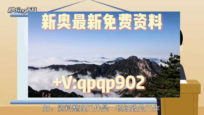 2024新奥正版资料大全--精选解释解析落实,2024新奥正版资料大全——精选解释解析落实详解手册