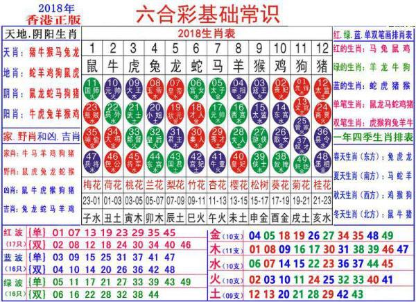 澳门正版资料大全资料生肖卡--精选解释解析落实,澳门正版资料大全资料生肖卡——精选解释解析落实