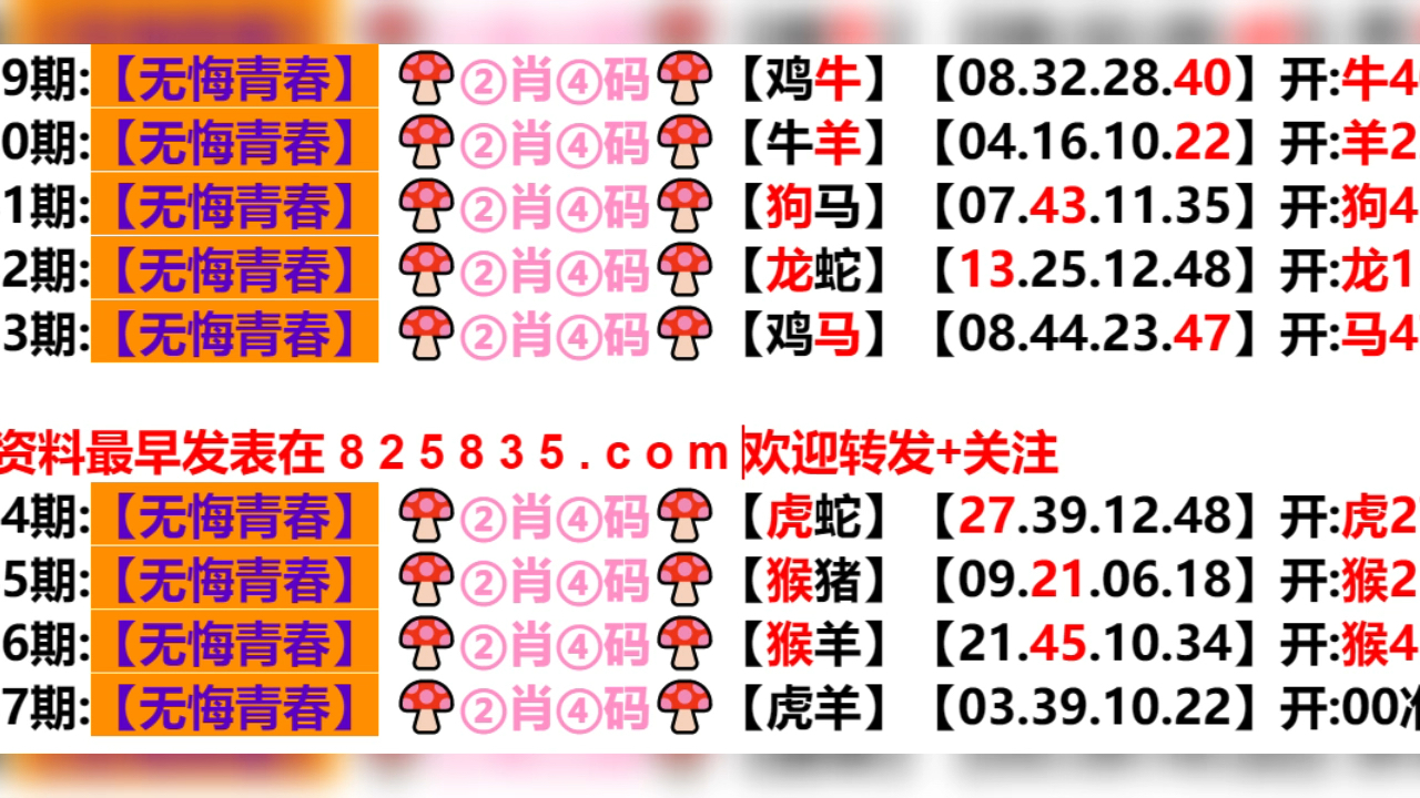 2024新澳门天天开好彩大全孔的五伏--精选解释解析落实,解析新澳门天天开好彩大全孔的五伏——精选策略与落实之道