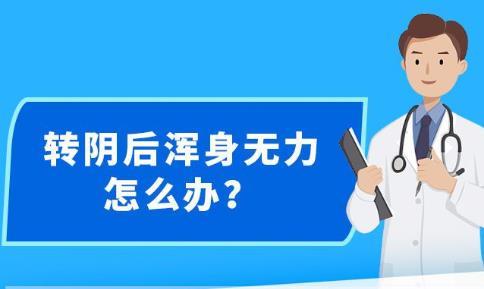 新澳精准资料免费提供网站--精选解释解析落实,新澳精准资料免费提供网站，精选解释解析落实的重要性及其影响