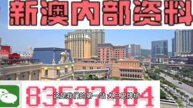 2024新澳门正版免费资料--精选解释解析落实,解析落实澳门正版资料的重要性与策略，迈向未来的关键步骤